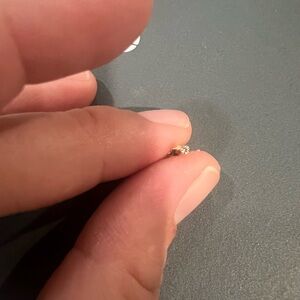 Elegant Gold Stud Earrings